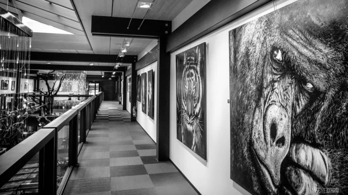 Fond galerie d'art